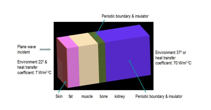 Fast Estimate of Thermal Responses of Biological Bodies due to RF Exposure Thumb 1200x628