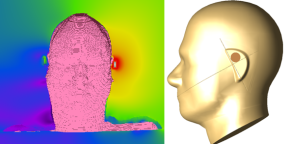 Remcom_HearingInstrumentHeadModels.png