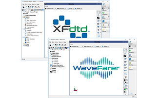 Shared-Platform-with-XFdtd