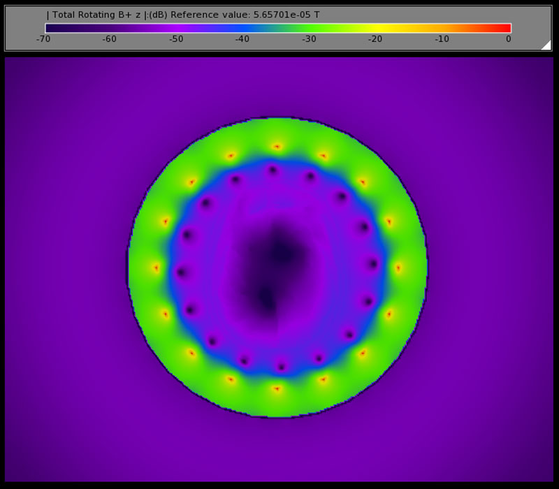 Figure 8: |B1+| on the axial plane of the loaded coil showing the disturbed field distribution.